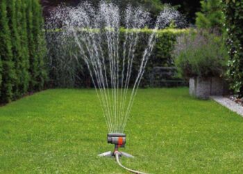 Автополив: экономия времени и воды для идеального сада