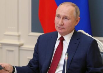 Губернатор Владимирской области доложил Путину о развитии региона