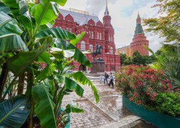 Москва утонула в цветах. Как озеленение спасает мегаполис от жары и привлекает туристов