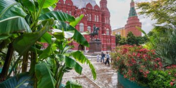 Москва утонула в цветах. Как озеленение спасает мегаполис от жары и привлекает туристов