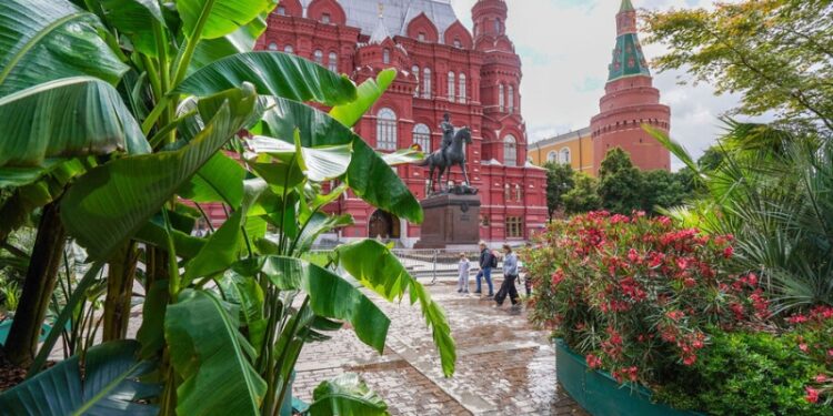Москва утонула в цветах. Как озеленение спасает мегаполис от жары и привлекает туристов