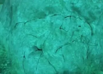 Раскрыта загадка 11000-летнего Стоунхенджа под озером со вторым дном в США