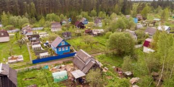 Срубил дерево — заплати штраф. Когда вырубка на участке может стать уголовным делом