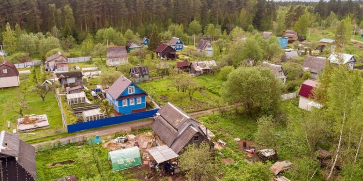 Срубил дерево — заплати штраф. Когда вырубка на участке может стать уголовным делом