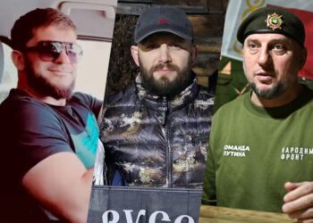 «Травля на пустом месте». Командира «Ахмата» отчитали за нападки на бойца ММА