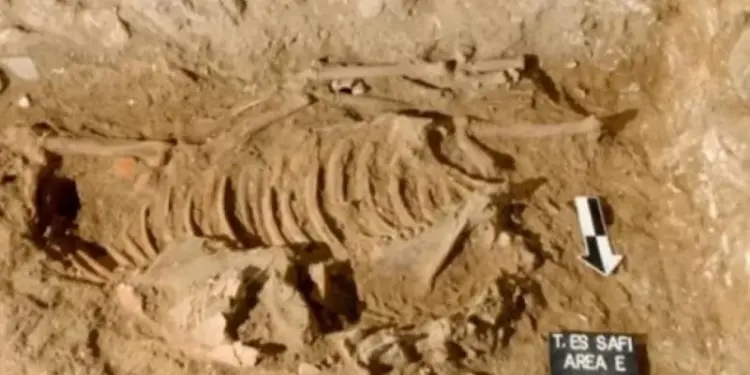 В Израиле обнаружили таинственных жертвенных ослов, которым 5 тыс. лет