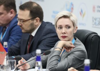 В Красноярском крае чиновница предложила жалующимся на интернет идти на СВО