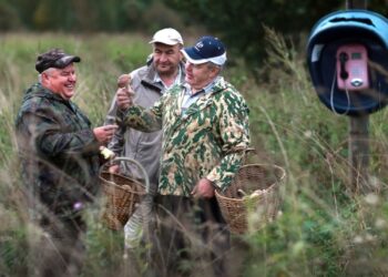 11 августа — какой сегодня праздник? Что отмечают в этот день в России и мире