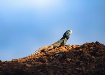 14 августа — какой сегодня праздник? Что отмечают в этот день в России и мире