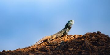 14 августа — какой сегодня праздник? Что отмечают в этот день в России и мире