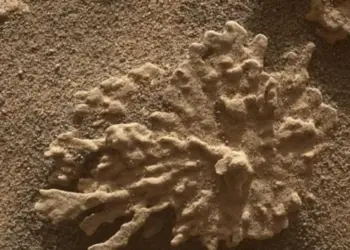 DM: на Марсе обнаружены новые признаки древней жизни