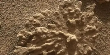 DM: на Марсе обнаружены новые признаки древней жизни