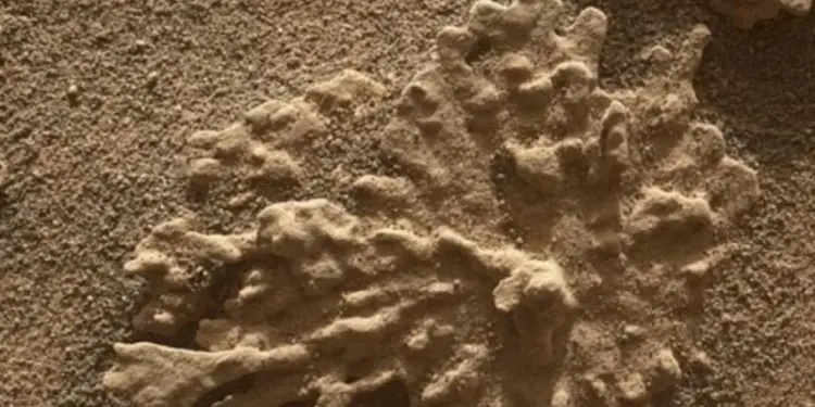 DM: на Марсе обнаружены новые признаки древней жизни