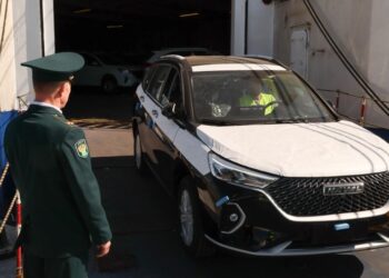 Глава ФТС описал схемы мошенничества с ввозом автомобилей