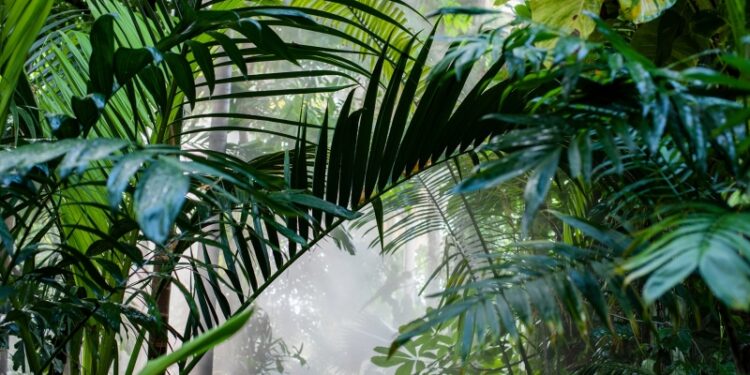 Какая влажность должна быть в квартире