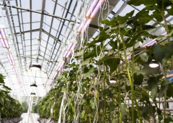 Молодежь продвигает науку. Как работает программа стратегического академического лидерства