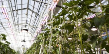 Молодежь продвигает науку. Как работает программа стратегического академического лидерства