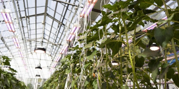 Молодежь продвигает науку. Как работает программа стратегического академического лидерства