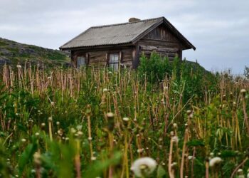 Правила освоения: что нужно сделать, чтобы не изъяли участок
