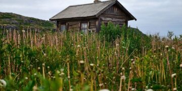 Правила освоения: что нужно сделать, чтобы не изъяли участок