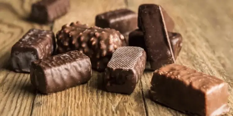 Тля на закуску. Химик Кожевникова: в конфетах, что мы едим, есть насекомые