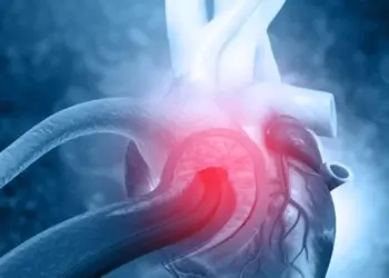 Ученые раскрыли, какой орган у людей стареет быстрее остальных