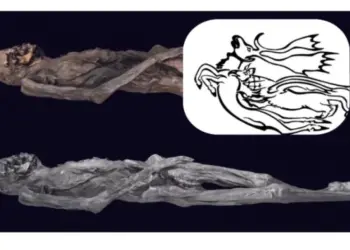 Ученые расшифровали татуировки 2500-летней «ледяной мумии» из России