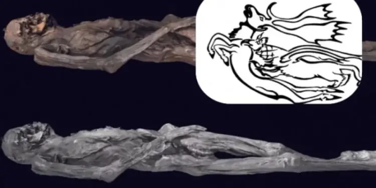 Ученые расшифровали татуировки 2500-летней «ледяной мумии» из России