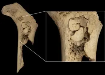 Ученые выяснили, что 5600-летняя семья из Испании была съедена людьми
