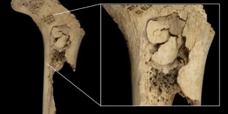 Ученые выяснили, что 5600-летняя семья из Испании была съедена людьми
