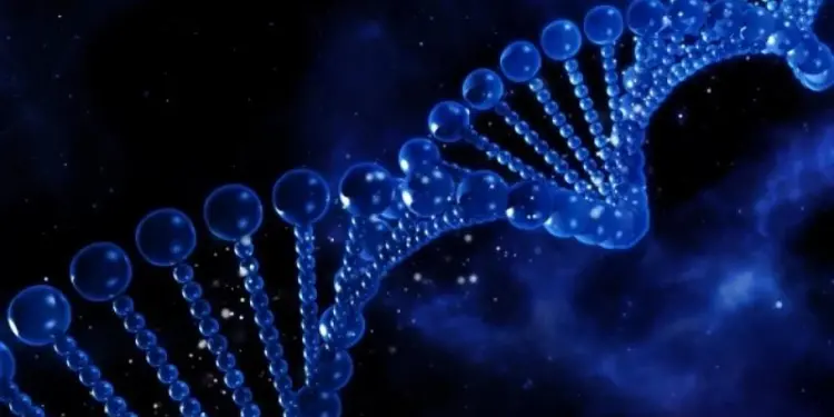 Ученые выяснили, что ДНК в яйцеклетках людей не мутирует при старении