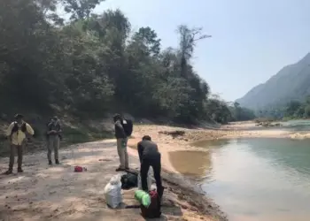 Земля ягуара. Обнаружено последнее пристанище таинственно исчезнувших майя