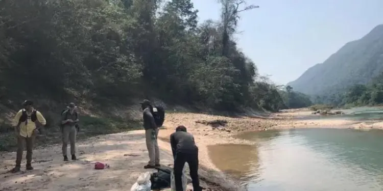 Земля ягуара. Обнаружено последнее пристанище таинственно исчезнувших майя