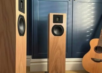 Почему пассивная акустика до сих пор актуальна