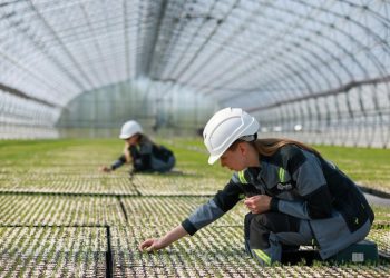 Урожайные технологии: как российский АПК развивает селекцию и генетику