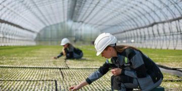 Урожайные технологии: как российский АПК развивает селекцию и генетику