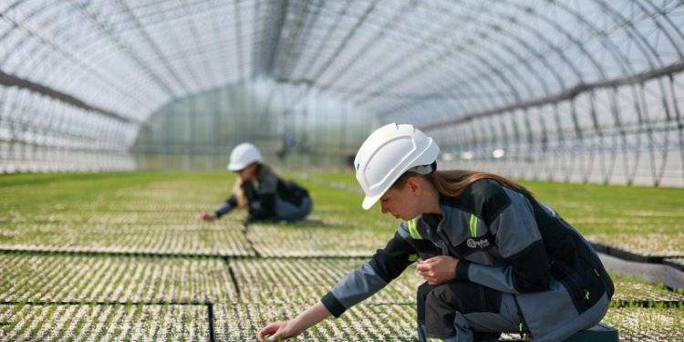 Урожайные технологии: как российский АПК развивает селекцию и генетику