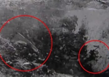 В Национальный архив США загрузили видео с падением НЛО и телами пришельцев