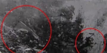 В Национальный архив США загрузили видео с падением НЛО и телами пришельцев