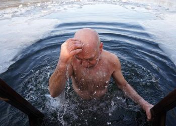 Крен моржовый — почему ледяная купель больше привлекает пожилых