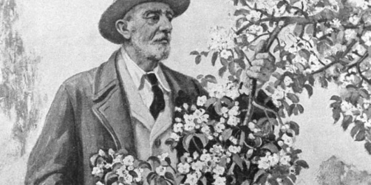 Переиначить на свой сад. Труды Мичурина ценили за океаном выше, чем в России