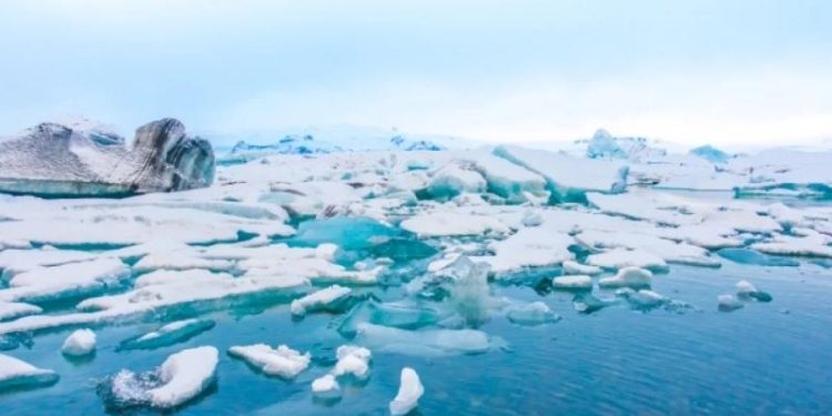 Поедают пластик. Ученые открыли новый вид бактерий в морях Арктики