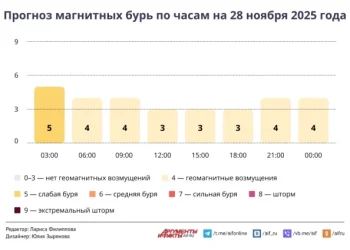 Прогноз магнитных бурь по часам на 28 ноября 2025 года. Инфографика