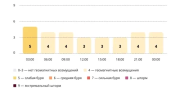 Прогноз магнитных бурь по часам на 28 ноября 2025 года. Инфографика