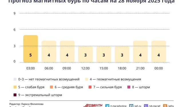 Прогноз магнитных бурь по часам на 28 ноября 2025 года. Инфографика