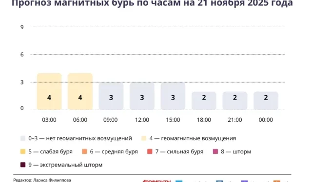 Прогноз магнитных бурь по часам на 21 ноября 2025 года. Инфографика