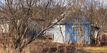 Росреестр разъяснил, как исправить нарушения на земельном участке