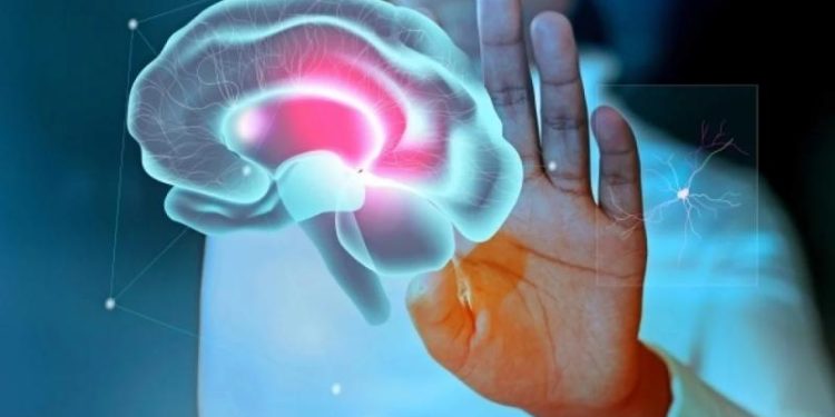 Ученые из Британии выяснили, что подростковая фаза у людей длится до 32 лет