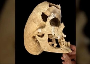 Ученые раскрыли тайну необычного черепа древнего воина из Испании