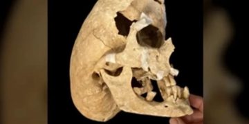 Ученые раскрыли тайну необычного черепа древнего воина из Испании
